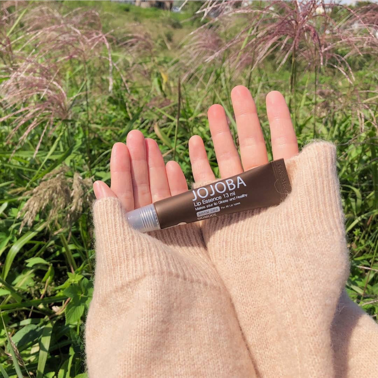 Spot South Korean get beauty blind test a SIDMOOL Horho JOJOBA orange peel taste moisturizing lipstick