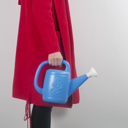 Посыпать чайник водолабный цветок цветочный цветочный уоррит водяной стене стенка Большое водопад горшечное растение