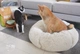 Douyin.com Red Dog Bed Cat Nest Ngủ sâu Dog Kennel Thông Kim Ấm Ngủ Mat Đen Củi Ngủ Shiba Inu Cũi - Cat / Dog hàng ngày Neccessities