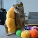 Симпатичный солнечный цветок питомец, Элизабет, ошейник для собак, крышка шеи, противозачаточное кольцо головы домашнего животного стыд мягкий круг