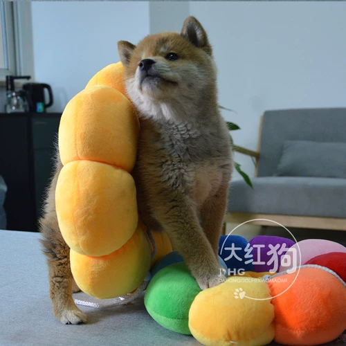 Симпатичный солнечный цветок питомец, Элизабет, ошейник для собак, крышка шеи, противозачаточное кольцо головы домашнего животного стыд мягкий круг