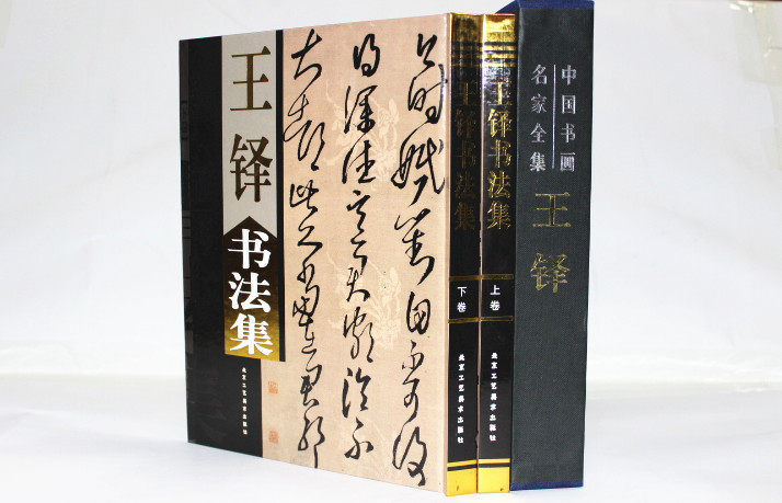 商城正版 中国现代名家画集 王铎书法集 彩图铜版纸精装16开2卷 全集图书