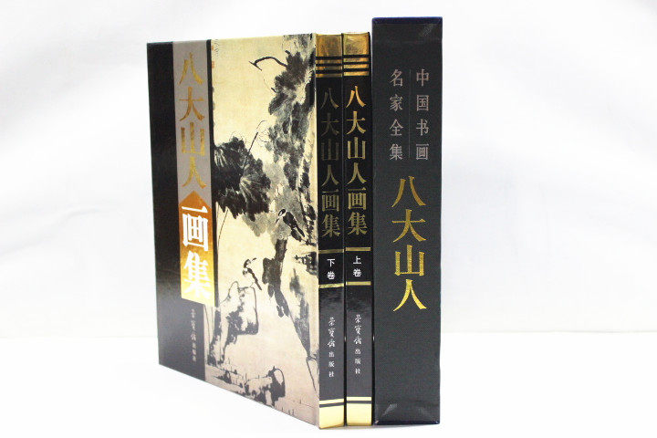 商城正版 中国现代名家画集 八大山人画集 彩图铜版纸精装16开2卷 荣宝斋