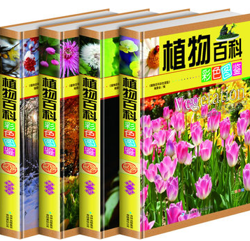 植物百科彩色图鉴 彩图版 16开精装全4册 呵护健康药用植物 净化空气环境植物  奇异植物 植物之谜 赠手提袋 吉林出版社 原价699元