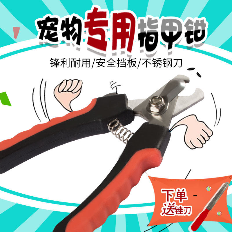 Dog nails cut teddy gold hair large dog special artifact cat with nail clamp band file pet supplies