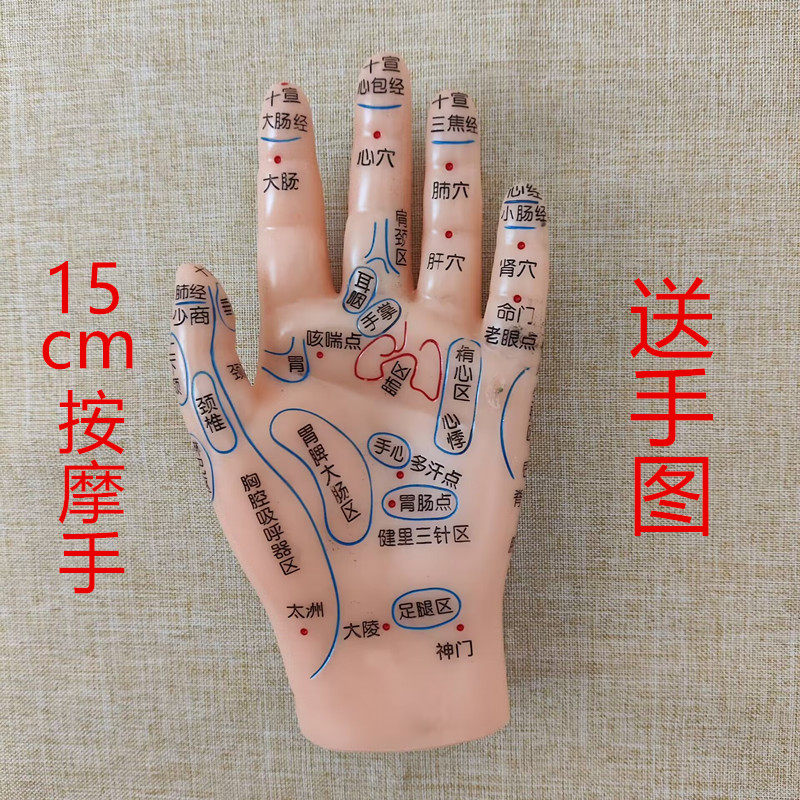 手部模型反射区穴位按摩小儿推拿人体部位图清晰刻字经络模具手图