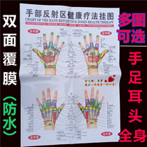 Human Meridian Acupoint Bitmap High Definition Palm Ears Plantar Foot foot Body Hand Massage Pushback Big Wall Chart