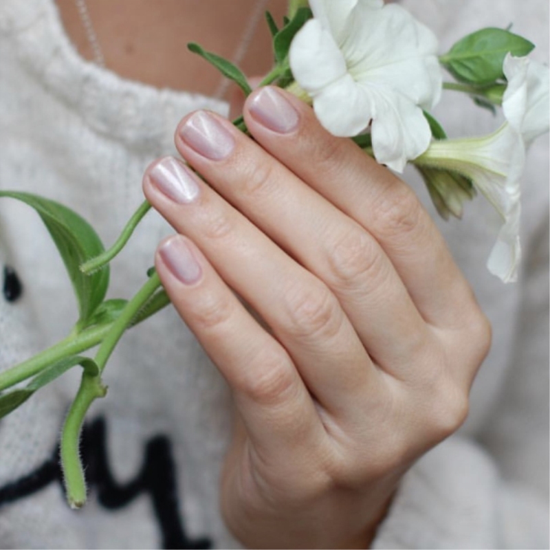 Special price clear cabin 3 bottles 9 fold Russia MASURA Masurra cat eye nail polish 3 5ML 244 ~ 271