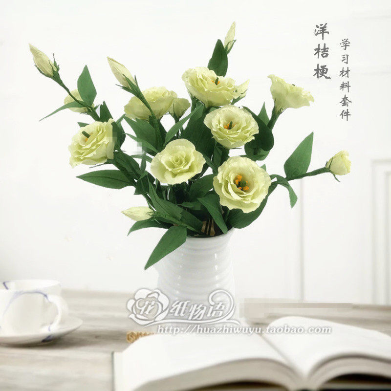 Foreign Platycoon Material Packs Paper Vines Creamy Paper Laktech Class Handmade DIY Learning Kit Paper Flower Simulation Flowers 20 branches