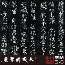 Tang Wang asks the ancient king for the grave of the grave book of real 1:1 truly overclearing the replication of the script of Chinese calligraphy