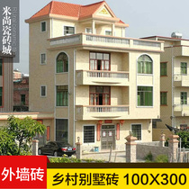 Rural self-built house country villa exterior wall tile 100*300 inkjet imitation stone brick anti-freeze