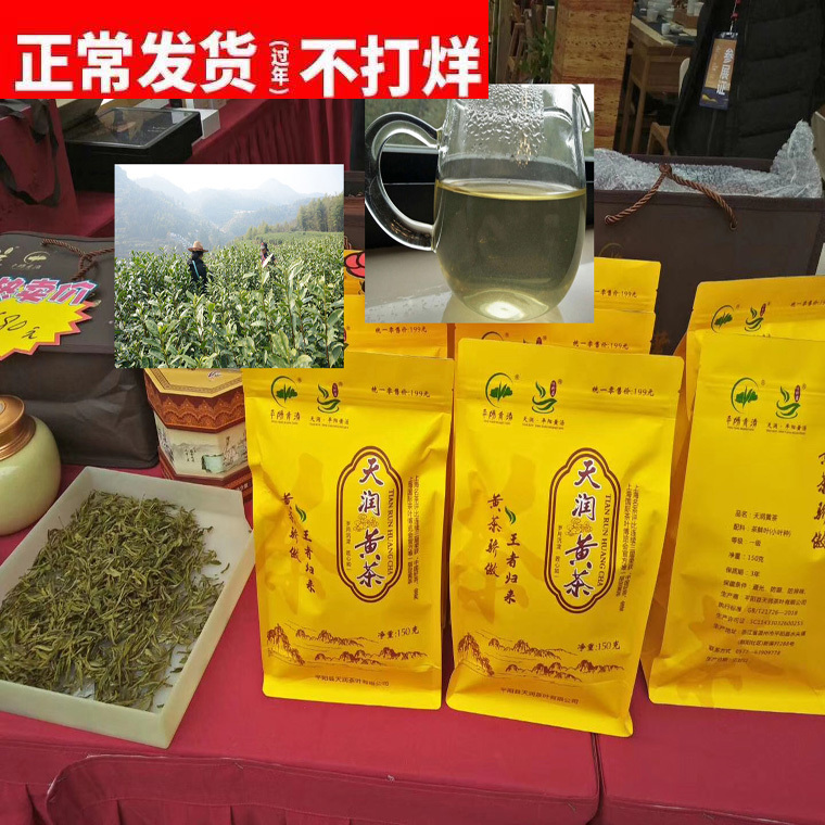 2026 Authentic Huangcha (Yellow Tea) from Pingyang, Wenzhou, New Tea Leaves 150g, Pre-Qingming Spring Tea, Huang Xiao Cha (Small Yellow Tea), Ready Stock 2026 Authentic Huangcha (Yellow Tea) from Pingyang, Wenzhou, New Tea Leaves 150g, Pre-Qingming Spring Tea, Huang Xiao Cha (Small Yellow Tea), Ready Stock