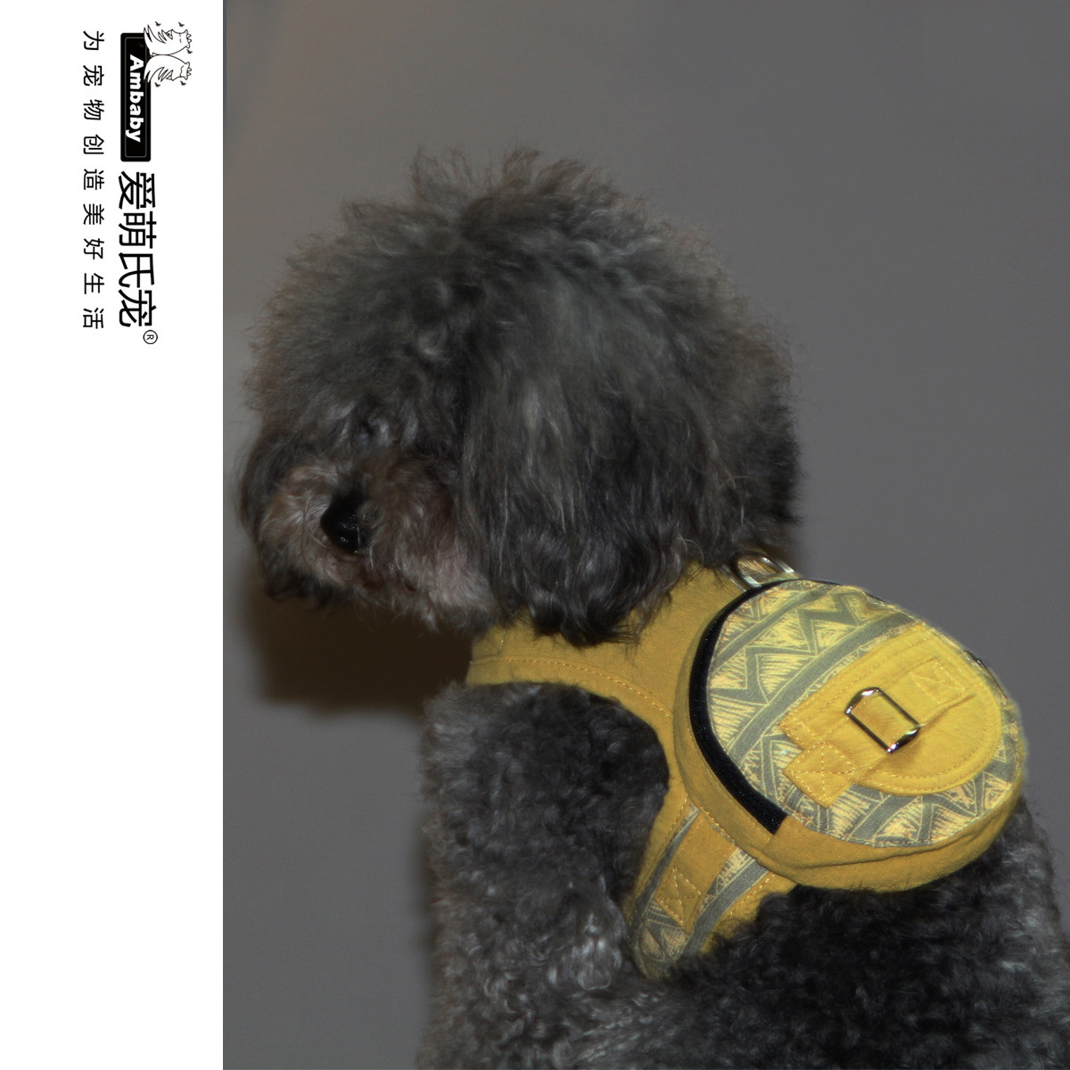 Love Cute Pooch Self-Shoulder Bag Small School Bag Out Teddy Small Dog Breast Holding Baby Bag Traction Rope Pet Snacks Bag