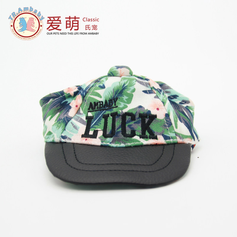 Love Cute Pets Hat Puppies Hat Teddy Bib Bears Bombo Small Dogs Out caps