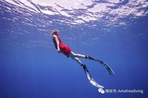 Beijing Shanghai Shenzhen Guangzhou Shanxi Basic one star Free diving