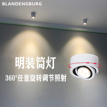 Surface mounted downlight Nordic led modern simple adjustable rotating COB household entrance aisle spotlight net red spot light