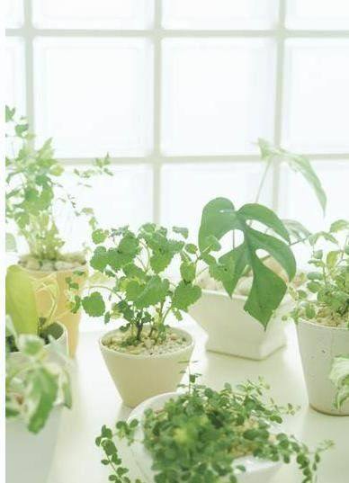 The difference in the price difference is a few dollars to shoot a few without the need to change the price