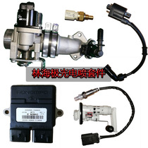 Linhai Aurora battle three generations four generations of eyes 125-160 EFI ECU throttle valve body oxygen sensor oil pump nozzle