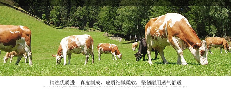 Giường ngủ châu Âu gỗ đôi giường đơn 1,8 m phòng ngủ chính giường sang trọng công chúa giường cưới giường da 1,8m đơn giản giường châu Âu - Giường giường hơi