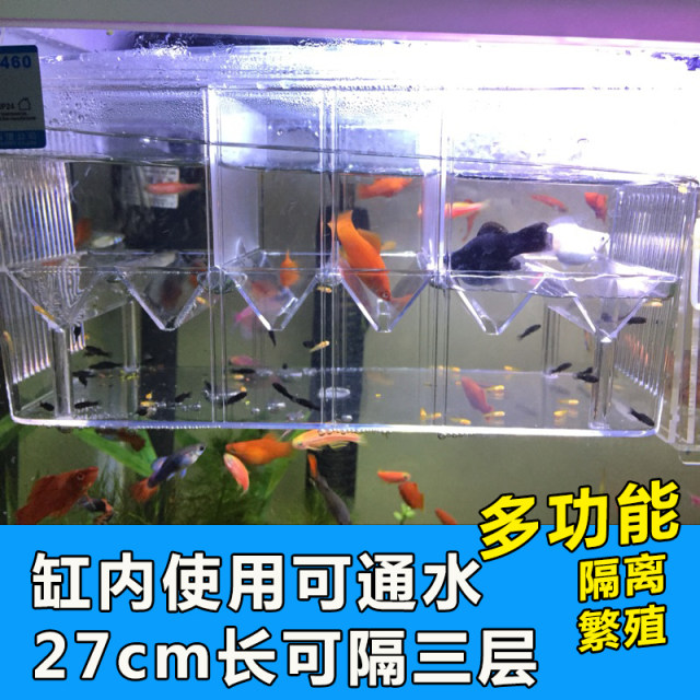 Large Fish Breeder Net with Suction Cups,Nylon Mesh Fish Fry Hatchery  Breeder Isolation Box Separation Net for Fish/Plants/Shrimp Fish on Aquarium  Tank : : Pet Supplies