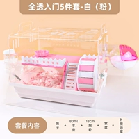 Ведущий начинающий 5-часовой сет-белый порошок