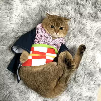 Ghost blade cos pet supplies Winter cat clothes kimono Cute anime cat clothing