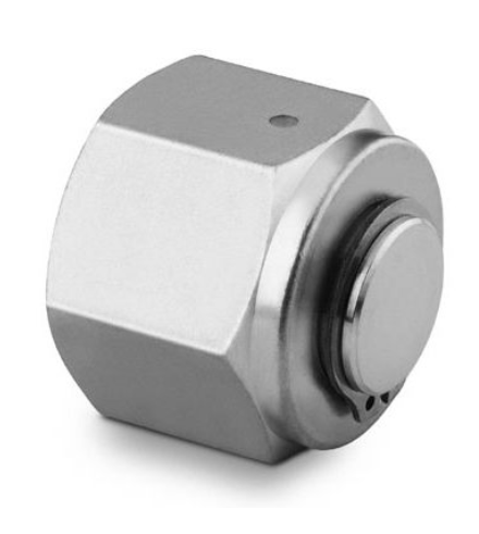 SS-4-VCR-CP (1 4 VCR CAP)