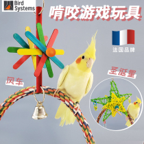 Imported parrot decoration supplies bird interactive toy hanging gnawing mouth Xuanfeng peony puzzle bird cage accessories