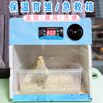 Parrot chicks incubator hand feeding young birds brood first aid breeding constant temperature temperature control ventilation Xuanfeng