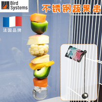 Farred Bird System 304 Stainless Steel Fruit Strings Vegetable String Fruit Fork Parrot Bird Cage Accessories Supplies