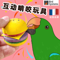 Imported parrot supplies bird interactive play toys gnawing game grinding claw mouth Xuanfeng peony gold sun tiger skin