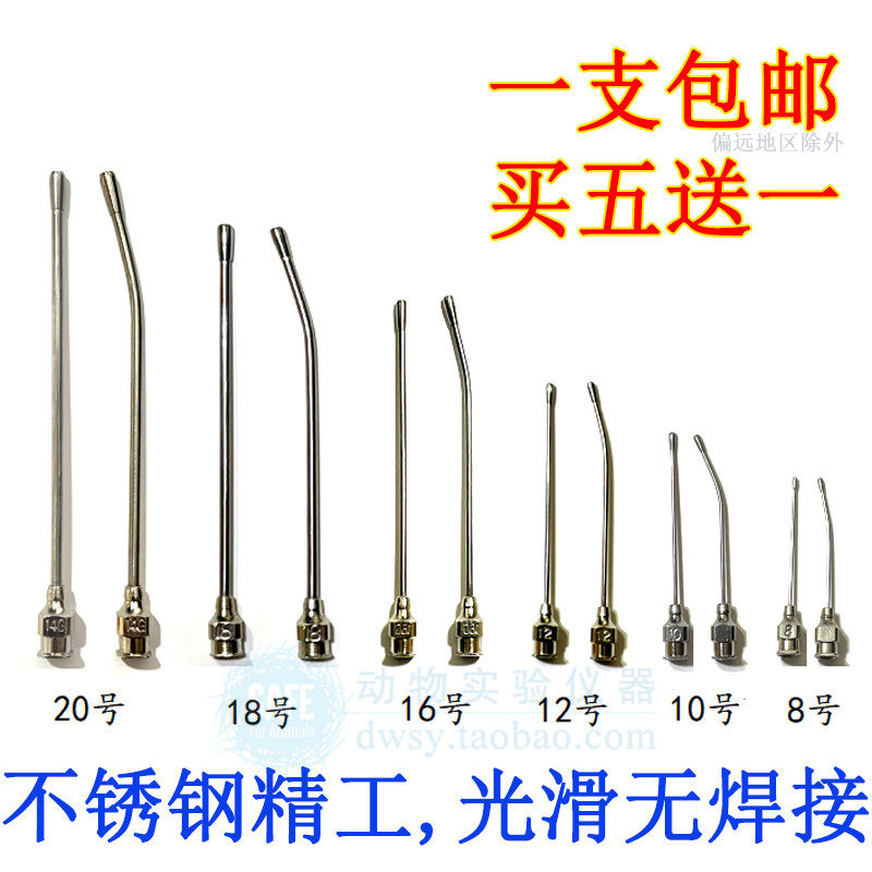 不锈钢灌胃针小鼠大鼠灌胃针柔软灌胃器软头鼠针8号10号直针弯针
