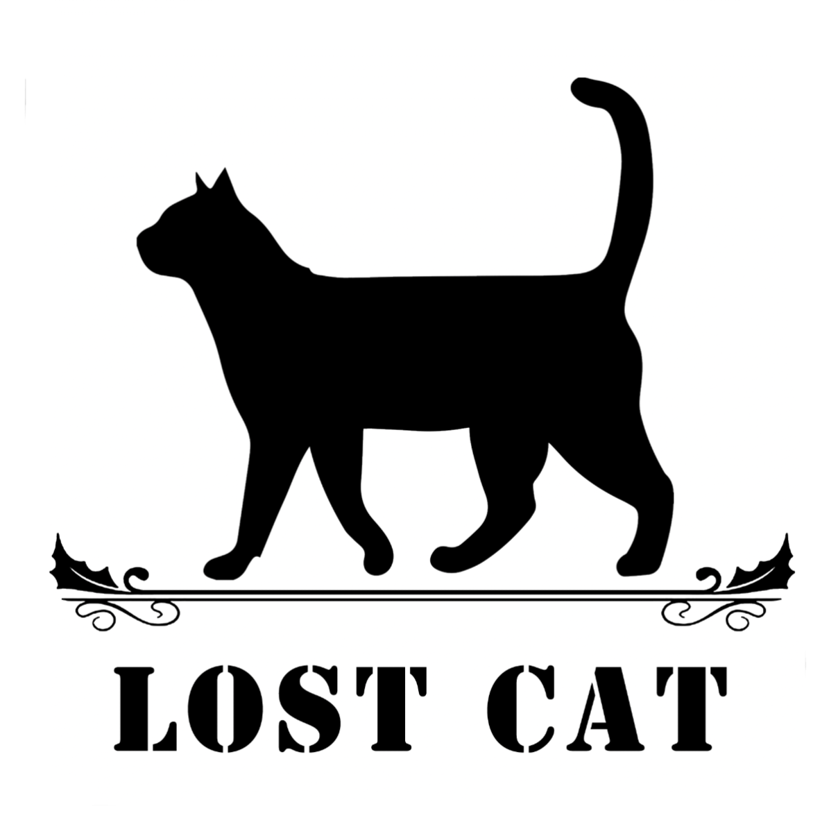 迷路的猫lost cat