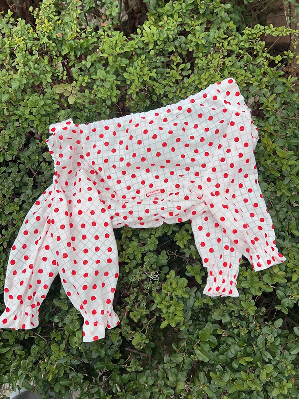 【Ultra-Light and Breathable for Summer】Dust-Proof and Insect-Proof Pants for American Corgi, Highland Terrier, Teddy, Bichon, Yorkshire Terrier, Maltese 【Ultra-Light and Breathable for Summer】Dust-Proof and Insect-Proof Pants for American Corgi, Highland Terrier, Teddy, Bichon, Yorkshire Terrier, Maltese