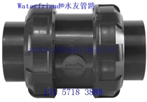 Double order check valve Check valve Check valve PVC valve union Check valve