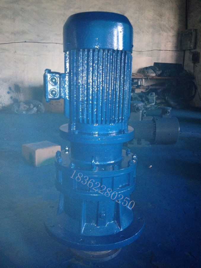 BLD planetary cycloid pin wheel reducer Agitator conveyor belt Vertical horizontal installation 380v motor copper core rotor