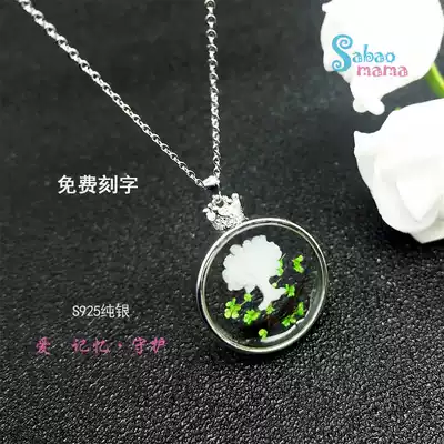 Baby fetal hair breast milk necklace souvenir DIY production pendant necklace Fetal hair pendant lettering S925 silver custom