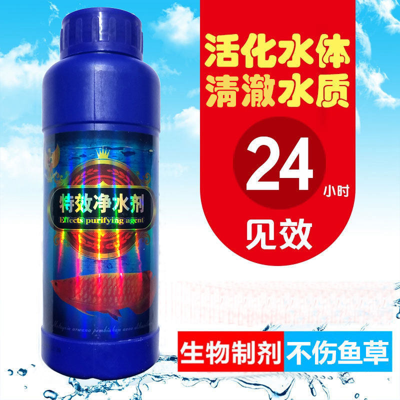 Fish tank water muddy treatment with water purifying clarifier clear water liquid without changing water muddy water to clear aqua clear water