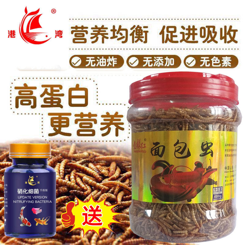 Dragon fish feed special fish breadworm crocodile turtle special high-nutritional parrot fish food feed bakery