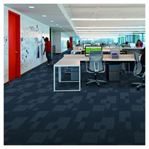 Commercial Whelan full laid carpet polypropylene office Guest house Conference room walkway Tooling Movie Theaters Billiard Room Paul