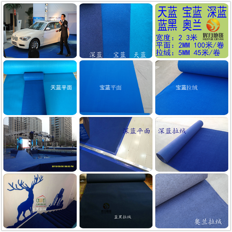Tại chỗ dày chải thảm 5.5 mét thảm đám cưới triển lãm tường thảm nhung hoạt động thảm thảm nhung trải sàn