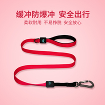 ISPET dog leash medium and small dogs walking dog leash telescopic leash teddy bear bomei pet supplies