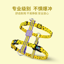 ISPET dog chest strap vest collar pet teddy golden retriever large dog explosion-proof traction rope strap