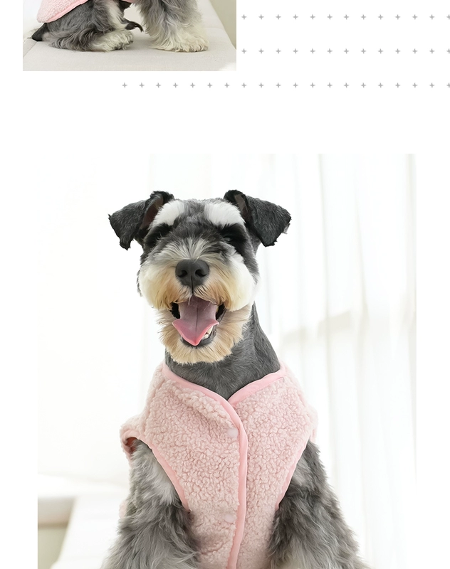 Quần áo cho chó ISPET quần áo mùa thu và mùa đông Teddy Bichon Schnauzer con chó nhỏ mùa đông dày quần áo ấm - Quần áo & phụ kiện thú cưng