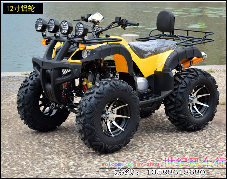 Big Bull 4 4WD 4 Bánh Xe Motocross Điện ATV Tất Cả Các Địa Hình Chain Shaft Truyền Tự Động ATV