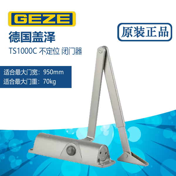 Genuine Geze Ts1000C/Ts1500/Ts2000/Ts4000/Boxer Hydraulic Buffer Door Closer