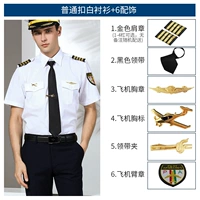 Обычная пряжка короткая аксессуары +6