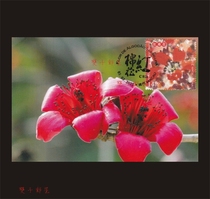 Flower paintings red cotton hero flower Macau extreme film small film