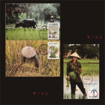 Laos farmer life rice cultivation Laos extreme film 3 complete