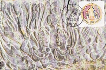 Personalized 42 Feitian extreme film. Postmark of Dunhuang Feitian scenery on the first day of sale.